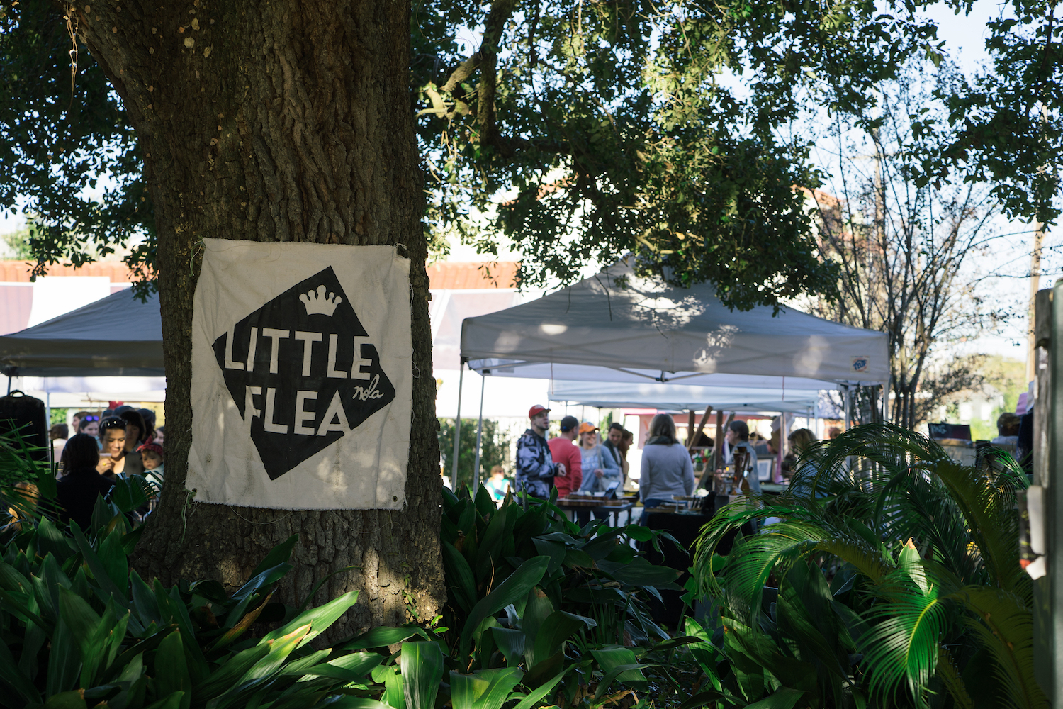 Little Flea NOLA